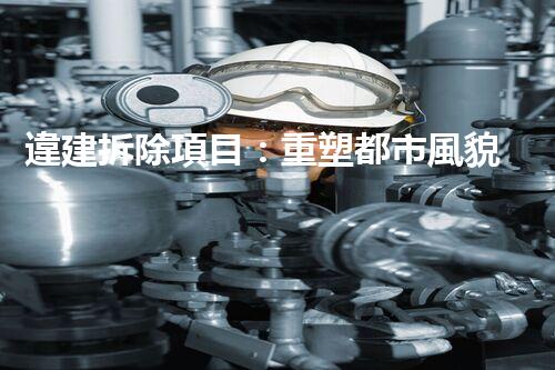 違建拆除項目：重塑都市風貌，共建和諧家園